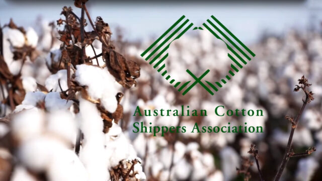 Australian Cotton Shippers